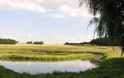 View on a pond in the proximity